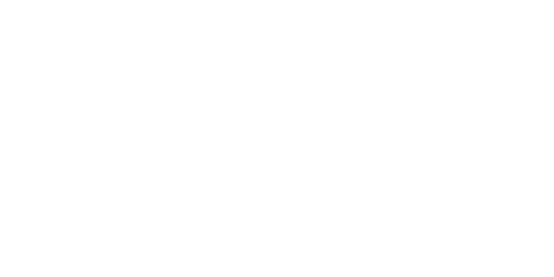 Branike web stránky a E-shop